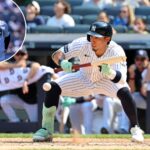 yankees-dfa-beloved-oswaldo-cabrera-in-surprise-move