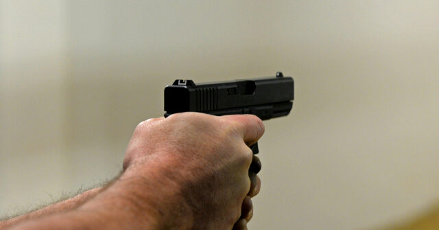 concealed-carrier-shoots-alleged-robber-at-chicago-area-gas-station