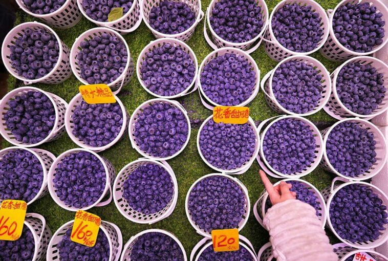 a-major-american-farm-company-went-to-china,-and-it-didn’t-end-well