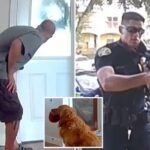 worst-guard-dog-in-the-world-exposed-by-ring-camera-in-san-diego-—-and-the-breed-won’t-surprise-you