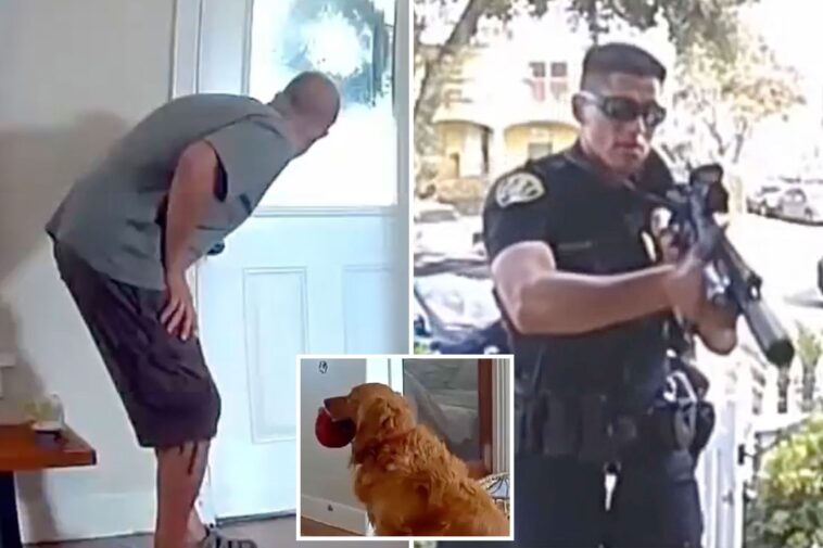 worst-guard-dog-in-the-world-exposed-by-ring-camera-in-san-diego-—-and-the-breed-won’t-surprise-you