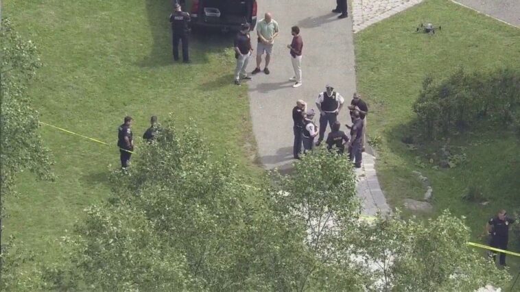3-stabbed-at-new-york-college;-2-suspects-in-custody