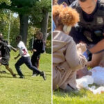 disturbing-video-captures-bloody-westchester-college-campus-stabbing-with-3-students-injured