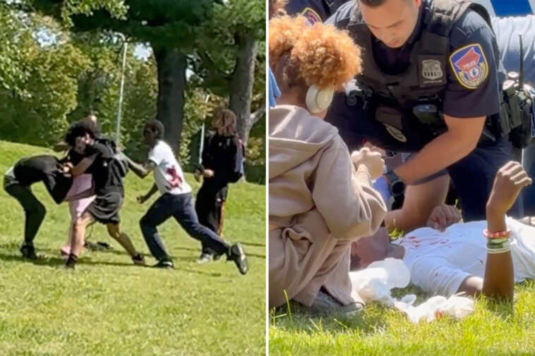 disturbing-video-captures-bloody-westchester-college-campus-stabbing-with-3-students-injured