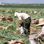 federal-indictment:-labor-traffickers-used-h-2a-visa-program-to-exploit-foreign-workers