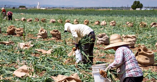 federal-indictment:-labor-traffickers-used-h-2a-visa-program-to-exploit-foreign-workers