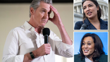 newsom’s-support-for-2028-presidential-bid-tanks,-aoc-and-other-contenders-rise:-poll