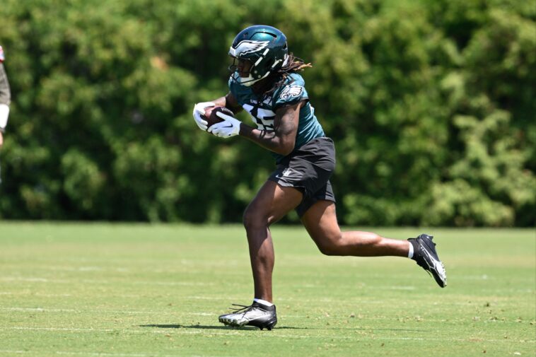 nflers-who-tried-to-play-for-lsu-barred-from-league-for-2026
