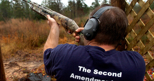 the-new-republic:-idea-that-citizens-are-armed-to-fight-tyranny-a-‘pop-constitutional-concept’