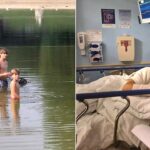 maryland-family-speaks-out-after-‘4-foot-long’-rabid-beaver-attacks-13-year-old-boy