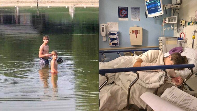 maryland-family-speaks-out-after-‘4-foot-long’-rabid-beaver-attacks-13-year-old-boy