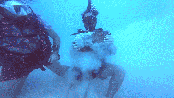faint-signal-leads-treasure-hunters-to-massive-discovery-at-legendary-400-year-old-wreck