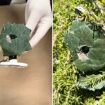 insidious-device-found-near-socal-home-as-cops-issue-urgent-warning