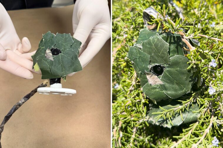 insidious-device-found-near-socal-home-as-cops-issue-urgent-warning