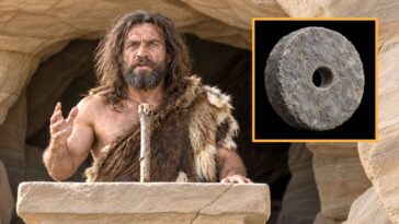 caveman-issues-dire-warning-that-the-wheel-is-going-to-eliminate-countless-jobs