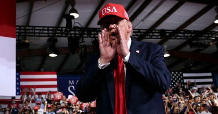 trump-halts-rally-speech-to-dismiss-female-heckler:-‘she’s-going-home-to-mama’