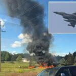 f-16-fighter-jet-crashes-in-michigan-as-pilot-ejects-and-is-rushed-to-hospital