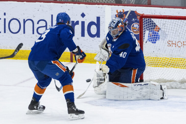 semyon-varlamov-ran-with-a-‘risky-idea’-to-return-to-hockey-—-it-might-give-him-his-career-back