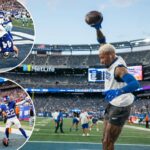 this-longtime-giants-fan-is-inescapably-resigned-to-rooting-for-clowns