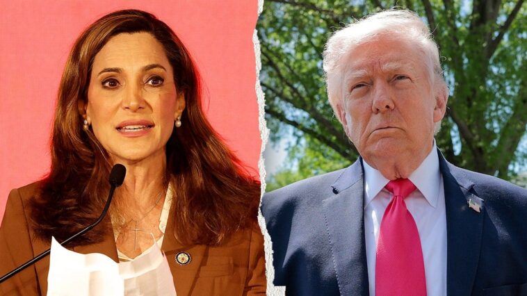 ‘gone-too-far:’-gop-candidate-runs-to-trump’s-left-on-signature-issue-in-deep-red-district