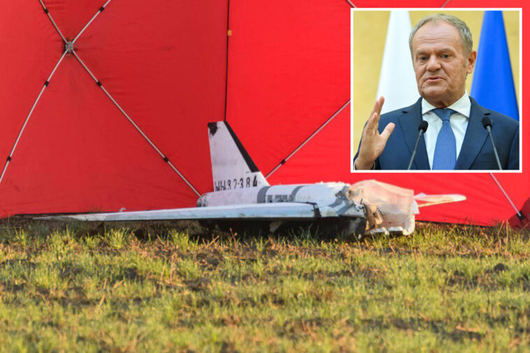 polish-pm-warns-nato-allies-putin-plotting-hybrid-strikes-on-ukraine’s-european-neighbors