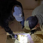 exclusive:-rick-scott-introduces-legislation-to-combat-illegal-southern-border-tunnel-crossings