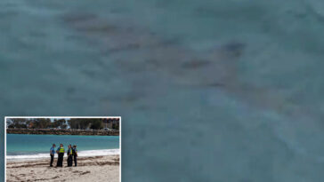 shark-kills-swimmer-in-attack-off-australian-beach-as-witnesses-recall-seeing-‘pool-of-blood’