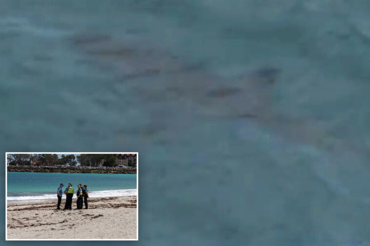 shark-kills-swimmer-in-attack-off-australian-beach-as-witnesses-recall-seeing-‘pool-of-blood’
