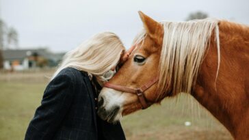 bright-side:-air-horse-one,-pricey-parm,-and-why-terrible-cell-service-might-be-a-blessing