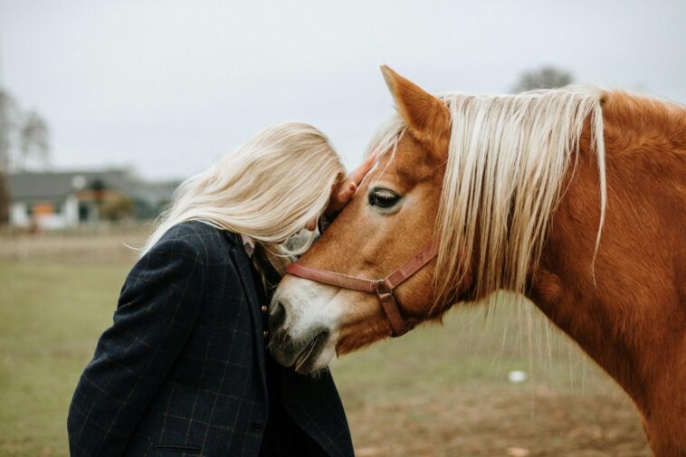 bright-side:-air-horse-one,-pricey-parm,-and-why-terrible-cell-service-might-be-a-blessing