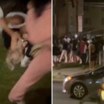 pennsylvania-college-students-beaten-unconscious,-dragged-by-hair-as-mob-invades-off-campus-house