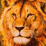 aslan-isn’t-jesus-he’s-a-lion.