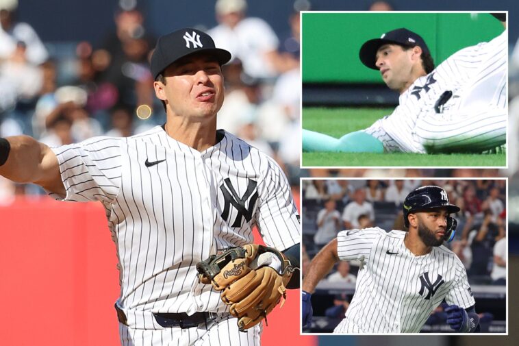 breaking-down-all-the-yankees’-tricky-decisions-for-wild-card-roster