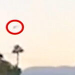 new-footage:-dashcam-caught-moment-of-los-angeles-news-chopper-crash-(video)