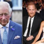 prince-harry,-meghan-markle-feeding-the-‘publicity-machine’-despite-privacy-demands:-expert