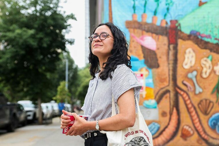 democrat-candidate-promises-to-bring-foreign-revolution-to-congress