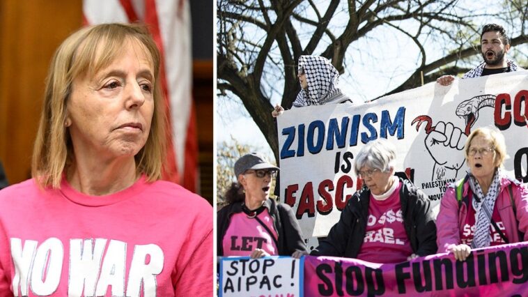 how-codepink-co-founder-medea-benjamin’s-family-foundation-became-a-major-funder-of-left-wing-activist-groups