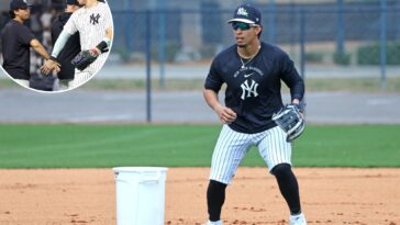 oswaldo-cabrera-quickly-finds-new-team-after-surprise-yankees-release