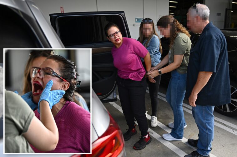 illegal-migrant-faked-us-citizenship-to-work-at-militrary-contractor-for-30-years