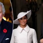 fox-news-entertainment-newsletter:-king-charles-draws-‘line-in-the-sand’;-harry-and-meghan’s-school-run-issues