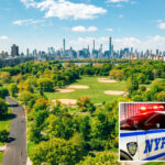 brazen-gunmen-rob-6-people-in-central-park-cellphone-mugging-spree:-cops