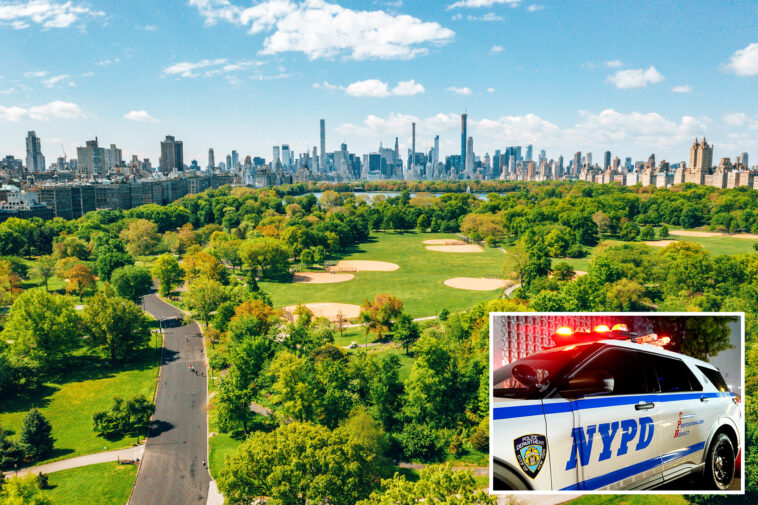 brazen-gunmen-rob-6-people-in-central-park-cellphone-mugging-spree:-cops