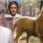 netflix,-director-greta-gerwig-blasted-for-casting-meryl-streep-to-voice-aslan-in-‘narnia’-remake:-‘cs.-lewis-rolling-in-his-grave’