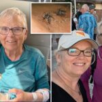 florida-woman,-80,-dies-from-dengue-fever-on-her-birthday:-‘met-the-wrong-mosquito’