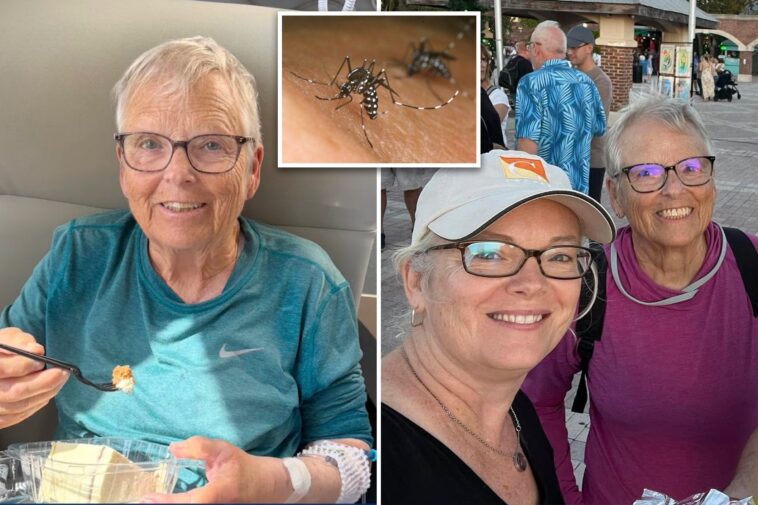 florida-woman,-80,-dies-from-dengue-fever-on-her-birthday:-‘met-the-wrong-mosquito’