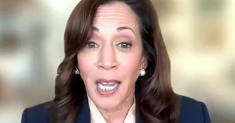 kamala-harris-to-team-up-with-radical-senate-candidate-abdul-el-sayed-in-apparent-sign-of-intent