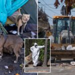 deadly-rat-urine-disease-linked-to-infested-rv-after-hazmat-crews-swooped-on-massive-california-tent-city