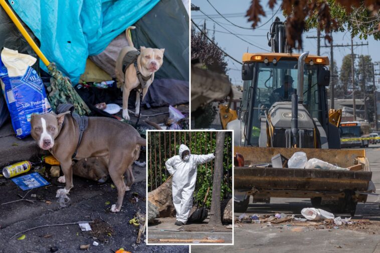 deadly-rat-urine-disease-linked-to-infested-rv-after-hazmat-crews-swooped-on-massive-california-tent-city