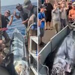 fishermen-make-record-breaking-catch-off-california-coast