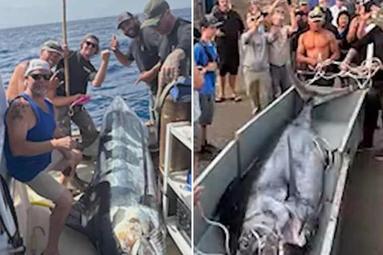 fishermen-make-record-breaking-catch-off-california-coast